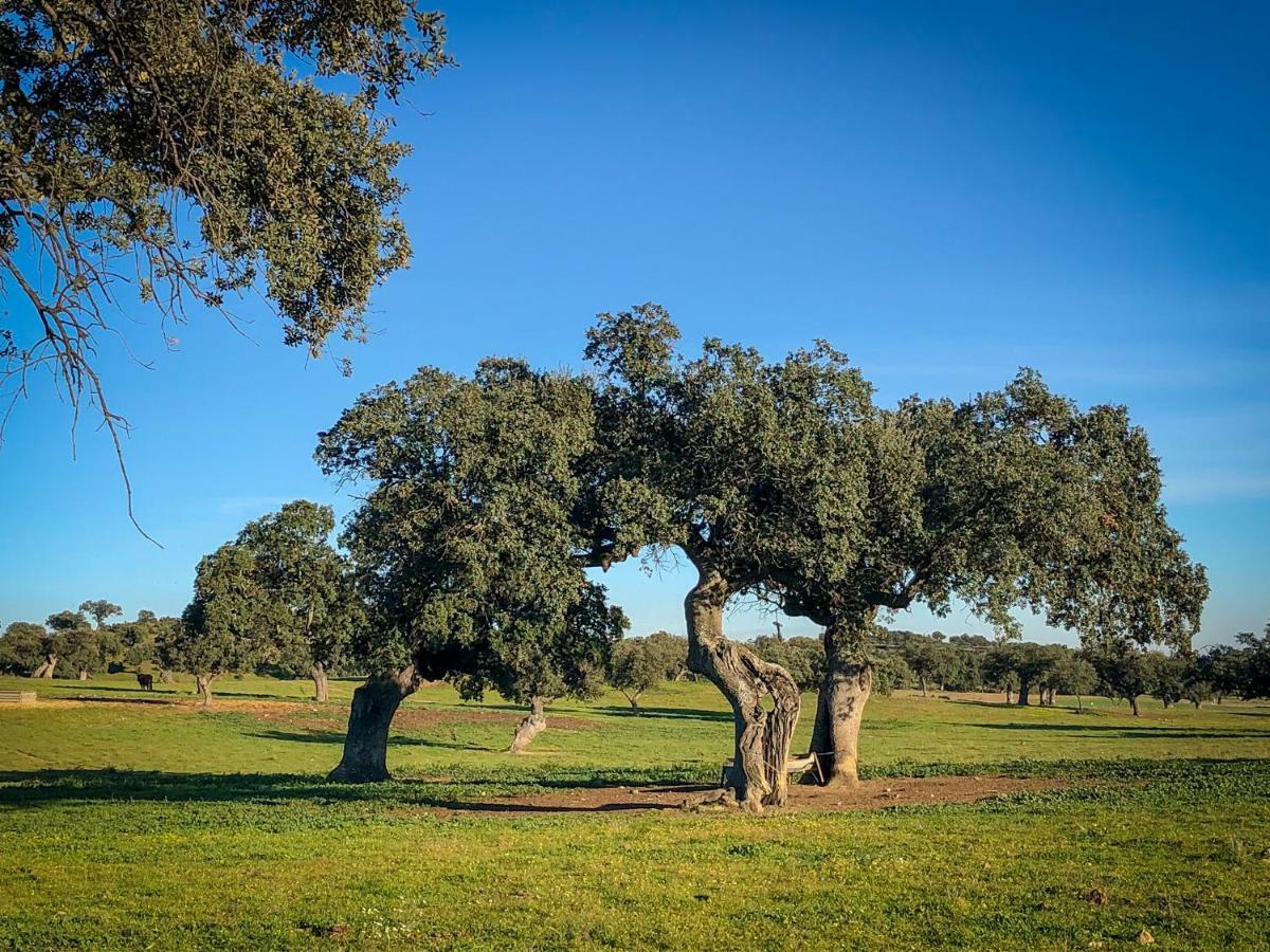 Villalba de los Barros La Hermandad De Villalba מראה חיצוני תמונה